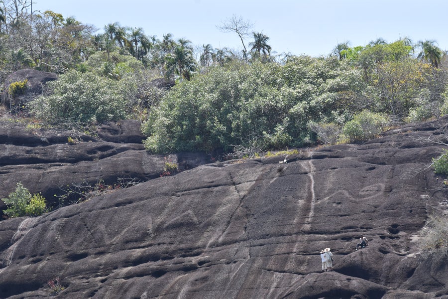 Telephoto shot of monumental rock art depicting snake body on the side of a large rock formation in Columbia with trees growing above, humans are seen standing below the carvings for scale comparison, which shows that the carvings are significantly larger than the individual people