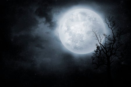 Night sky with full moon and old tree. On dark background