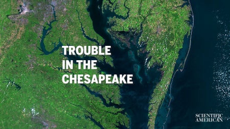 A view of the Cheasapeake watershed from space showing the green of land and the blue ocean of the mid-atlantic states in the united states