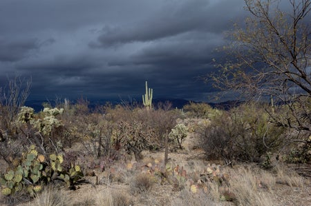 Moody desert landscape