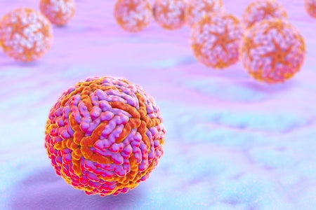 Zika viruses, computer illustration in pink abd orange