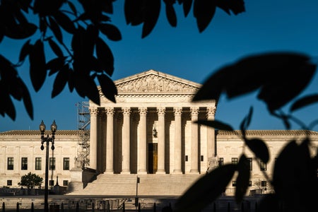 Leaves framing the Supreme Court in Washington D.C.