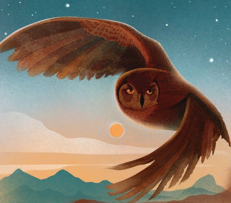 Illustration of an owl flying in front of a sunset.