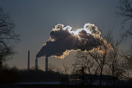 Smoke stacks with black smoke rising behind trees.