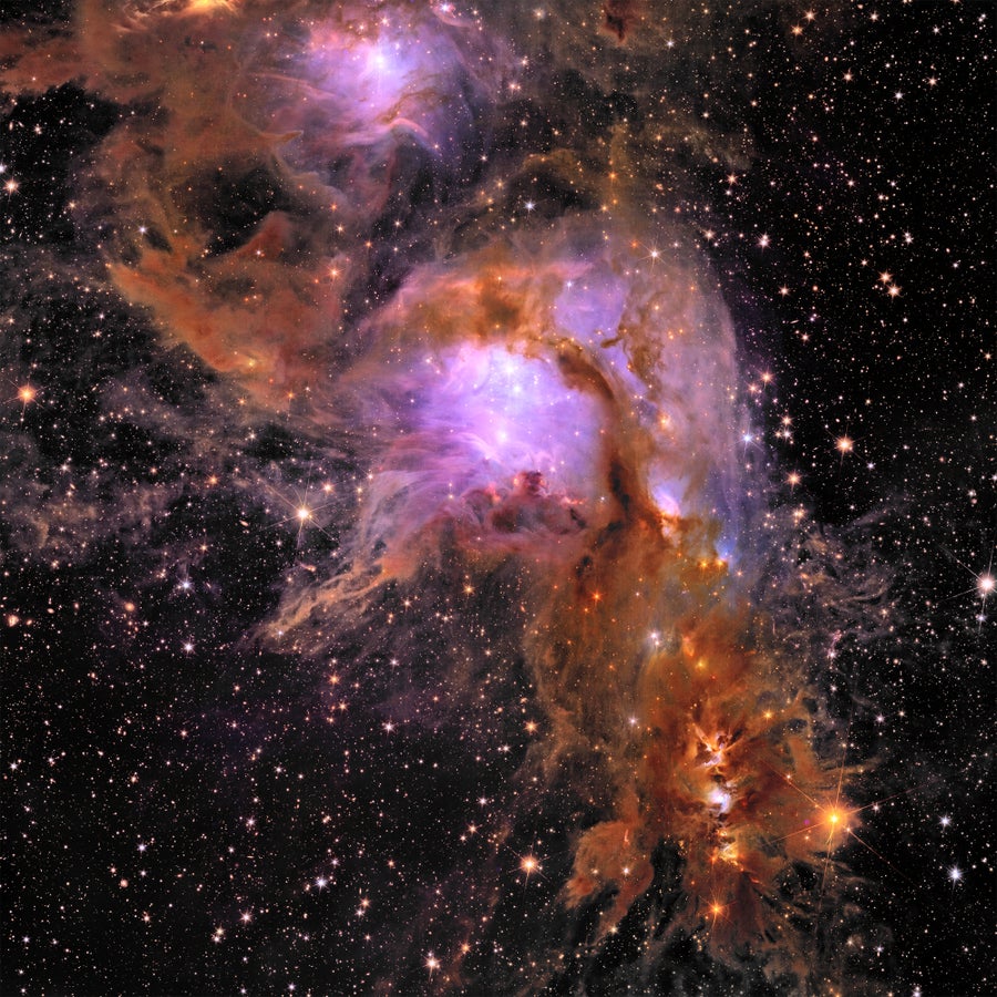 An image of the star-forming region Messier 78 from the European Space Agency’s Euclid telescope