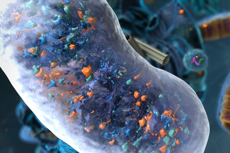 A 3D illustration of an animal cell, focusing on a vacuole with a clear outer membrane containing waste products inside