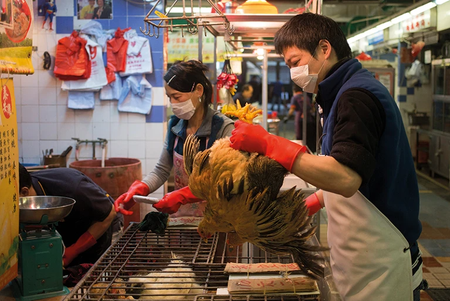 Live chickens on sale at a market in Hong Kong.